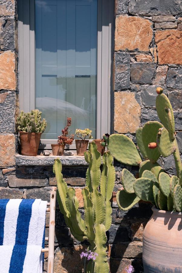 Villa Aiolos: Above The Sea, Within Agios Nikolaos المظهر الخارجي الصورة